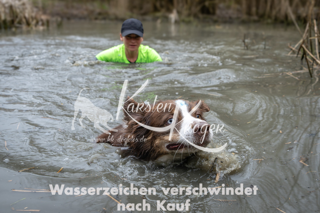 1013_ZZ97094 | kk-dogfotos