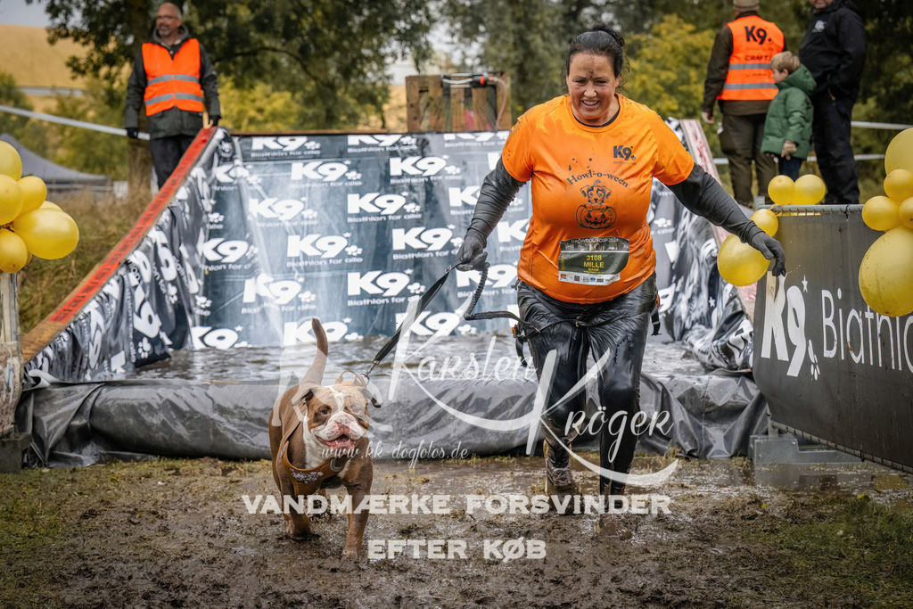 1207_ZZ94388 | kk-dogfotos