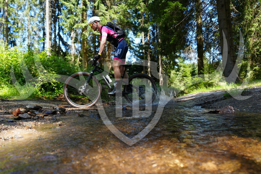 FC604539 | Fotogalerie der Treibjagd im Dunkelwald - Dein MTB Etappenrennen im Erzgebirge - Realisiert mit Pictrs.com