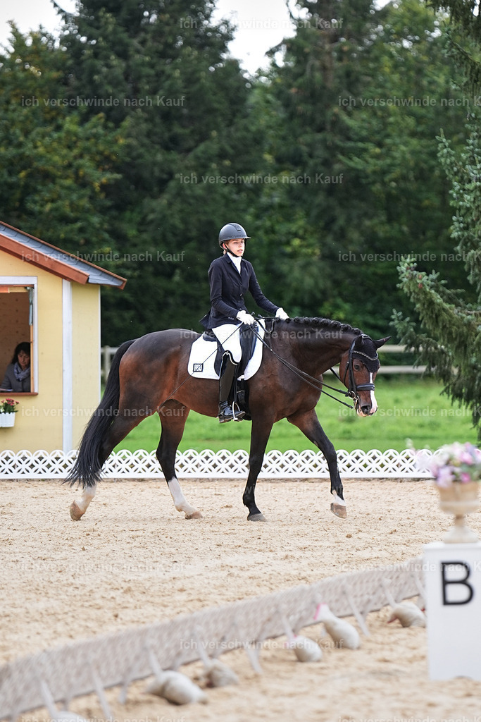 3-224-Dressur M_-Marixx-2040 | working equitationturnier fotograf videograf stoibphotography marixx film working equitation deutschland reitsport turnierfotografie eventfotografie equestrian events