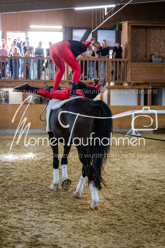 GS-NS-060 | MomenTaufnahmen Pferdesportfotos