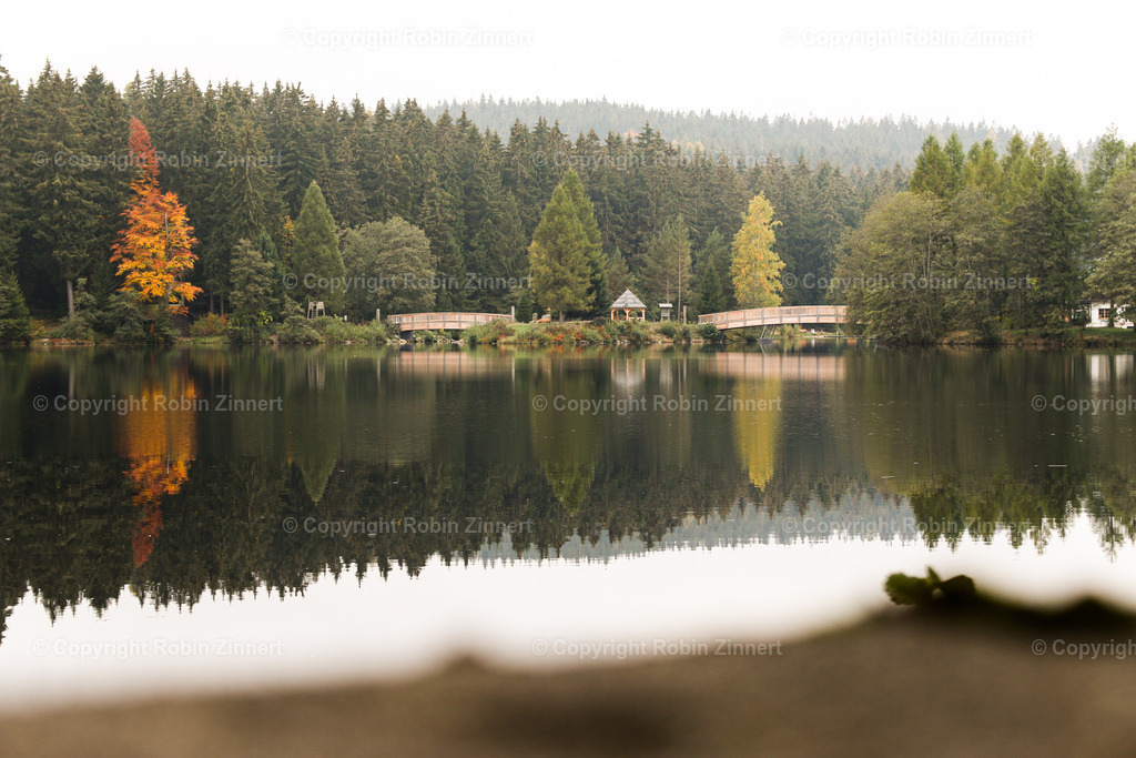 Fichtelsee_Herbst-1-2 | Robin Zinnert - Realisiert mit Pictrs.com