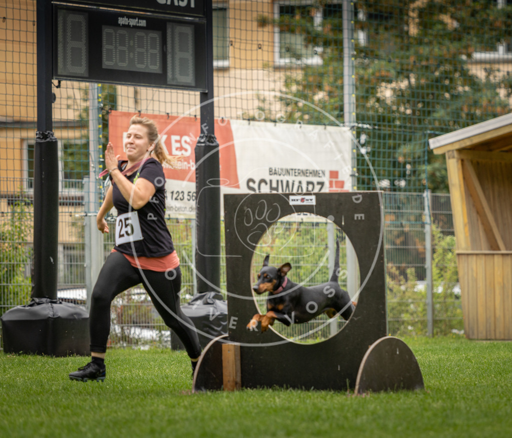 Pfotenfotografie_DV3A8591 | Hundefotografie, Tierfotograf, Pfotenfotografie, Fotoshooting Hund, Hunde Portrait, Hundesport, Hundeportraits, Heideshooting, Hunde, Sportfotograf, Hundefotograf, Turnierhundsport, THS,  - Realisiert mit Pictrs.com