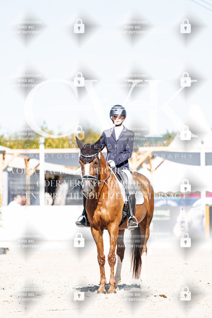CK908505 | Turnierfotografie Pferdefotografie Trier Rheinland-Pfalz Pferdesport Reitsport Tierfotografie Sportfotografie Pferdevideo Pferdevideografie Equestrianvideography equestrianphotography  - Realisiert mit Pictrs.com