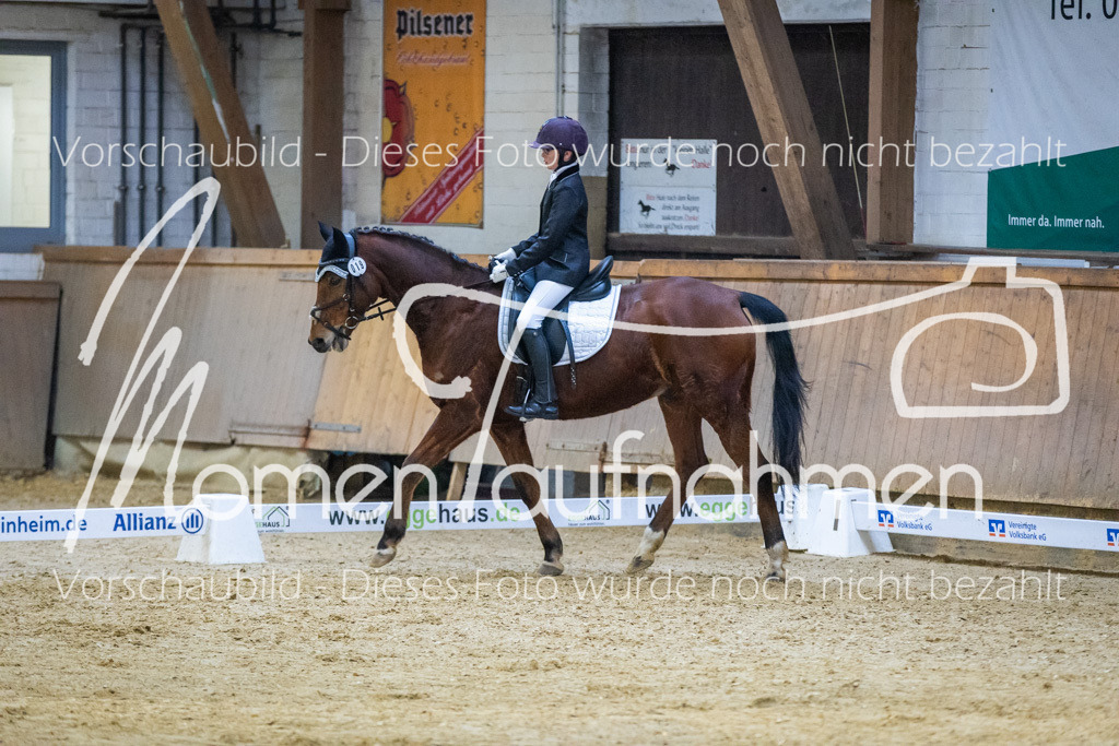 Sth-WBO25-DrR-114 | MomenTaufnahmen Pferdesportfotos