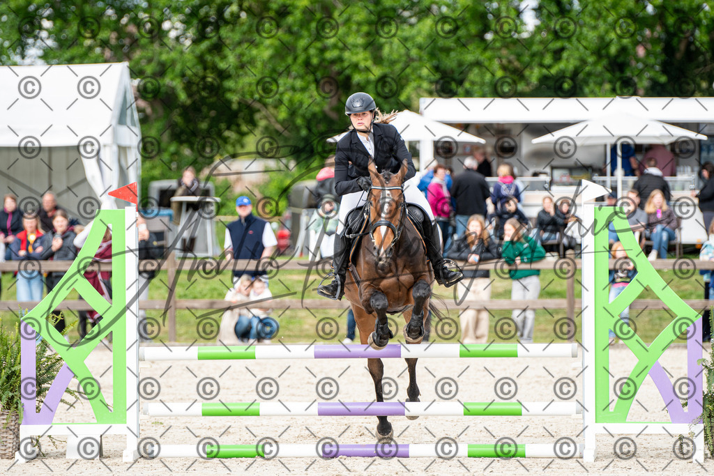 KPT_6555 | andre_photographic