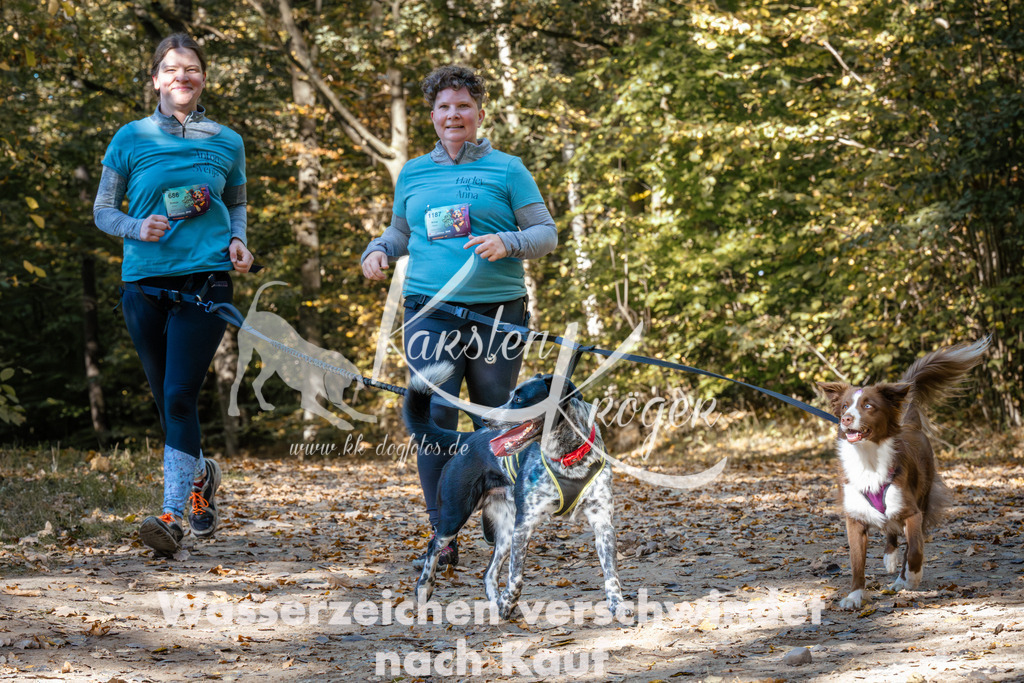1231_ZZ95459 | kk-dogfotos