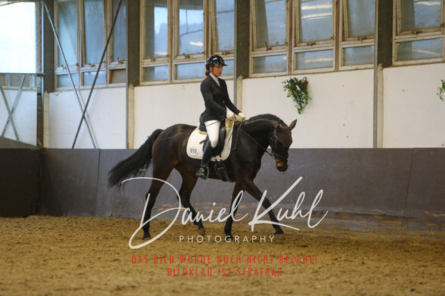 IMG_8154 | Turniersportfotografie; Pferdefotografie; Dressurfotografie