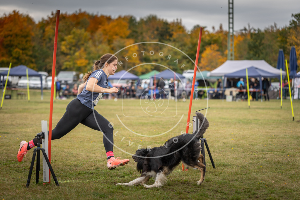 Pfotenfotografie_DV3A7518 | Hundefotografie, Tierfotograf, Pfotenfotografie, Fotoshooting Hund, Hunde Portrait, Hundesport, Hundeportraits, Heideshooting, Hunde, Sportfotograf, Hundefotograf, Turnierhundsport, THS,  - Realisiert mit Pictrs.com