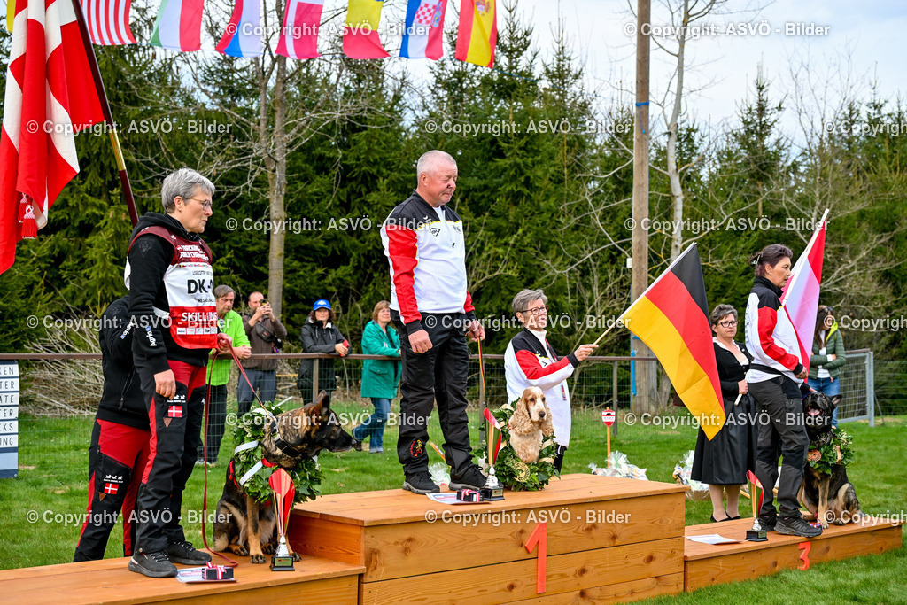 ASVÖ_ Tracking Dog World Championship 2025_ 05.04.2025-205 | bilder.asvo-sport - Realisiert mit Pictrs.com