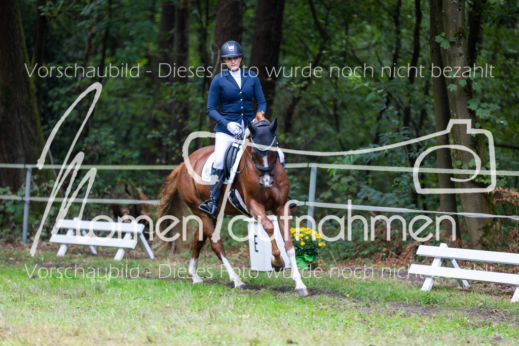 HB-A-Dressur-159 | MomenTaufnahmen Pferdesportfotos