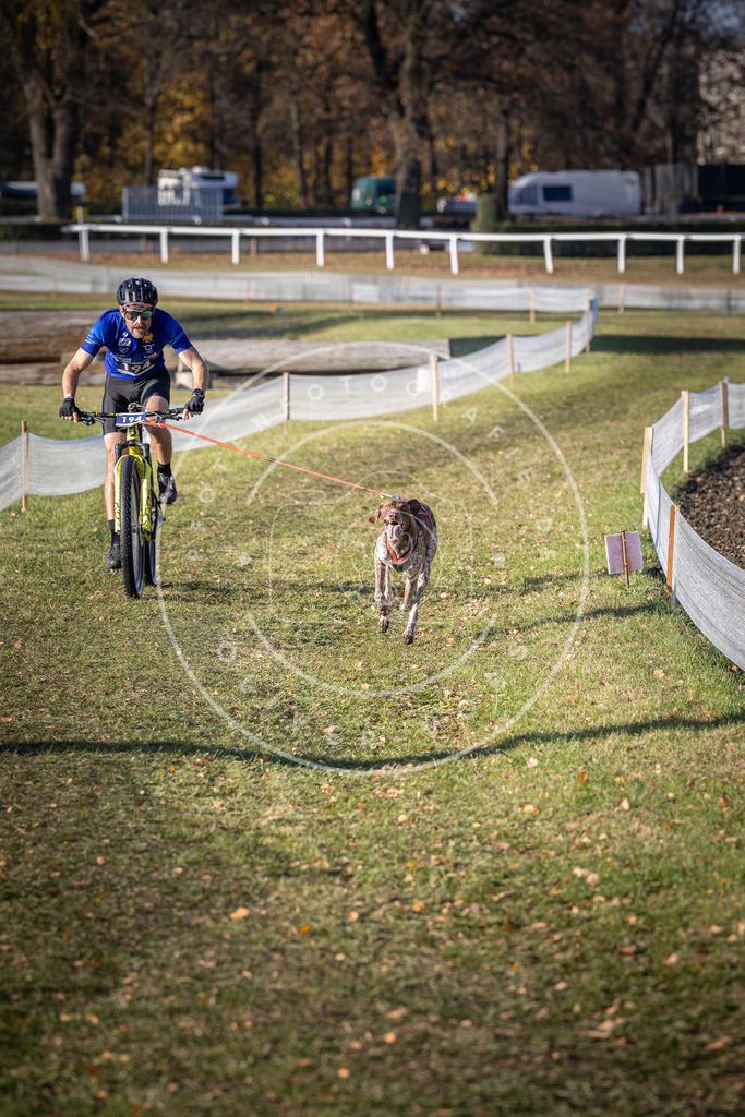 CaniXpix_DV3A2547 | Hundefotografie, Tierfotograf, Pfotenfotografie, Fotoshooting Hund, Hunde Portrait, Hundesport, Hundeportraits, Heideshooting, Hunde, Sportfotograf, Hundefotograf, Turnierhundsport, THS,  - Realisiert mit Pictrs.com