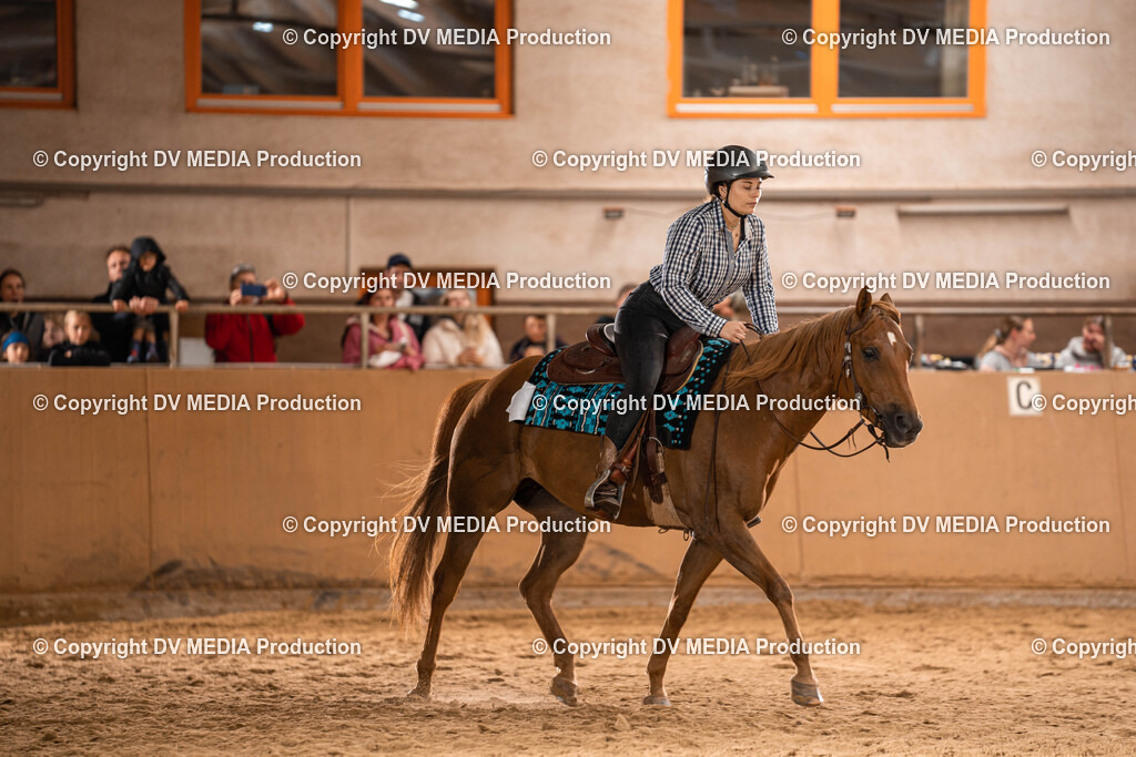 Losheim Tag 1-583 | dv-media-shop - Realisiert mit Pictrs.com