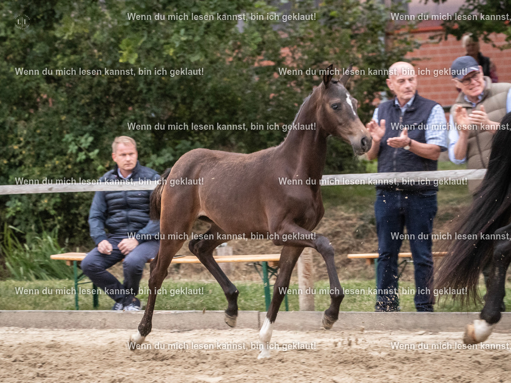 A10I7448 | photographylinaismer - Realisiert mit Pictrs.com