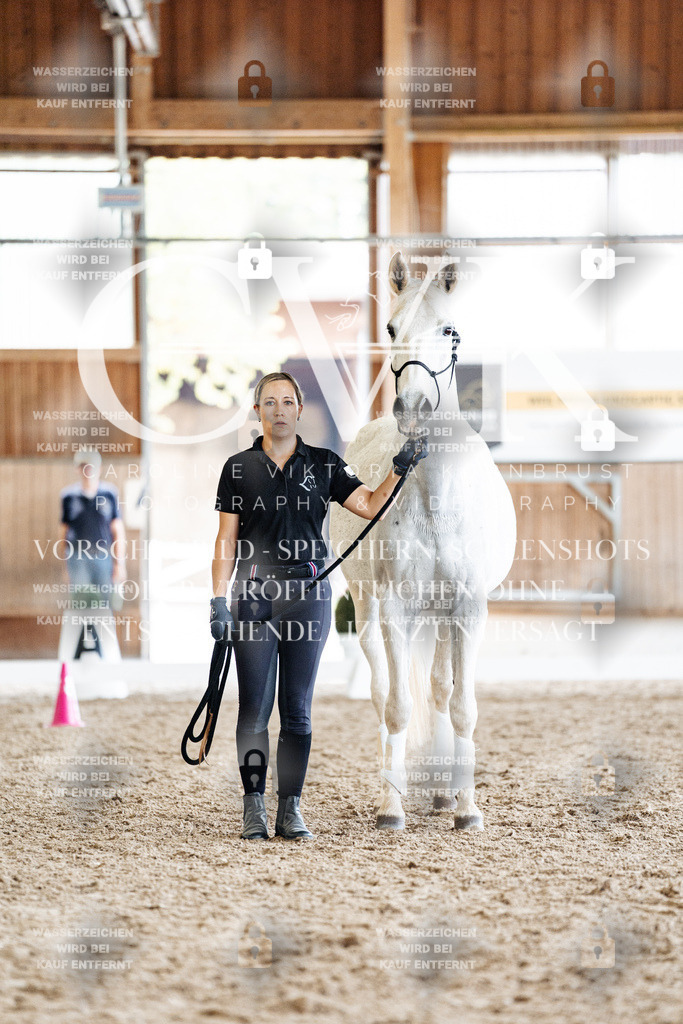 CK907729 | Turnierfotografie Pferdefotografie Trier Rheinland-Pfalz Pferdesport Reitsport Tierfotografie Sportfotografie Pferdevideo Pferdevideografie Equestrianvideography equestrianphotography  - Realisiert mit Pictrs.com