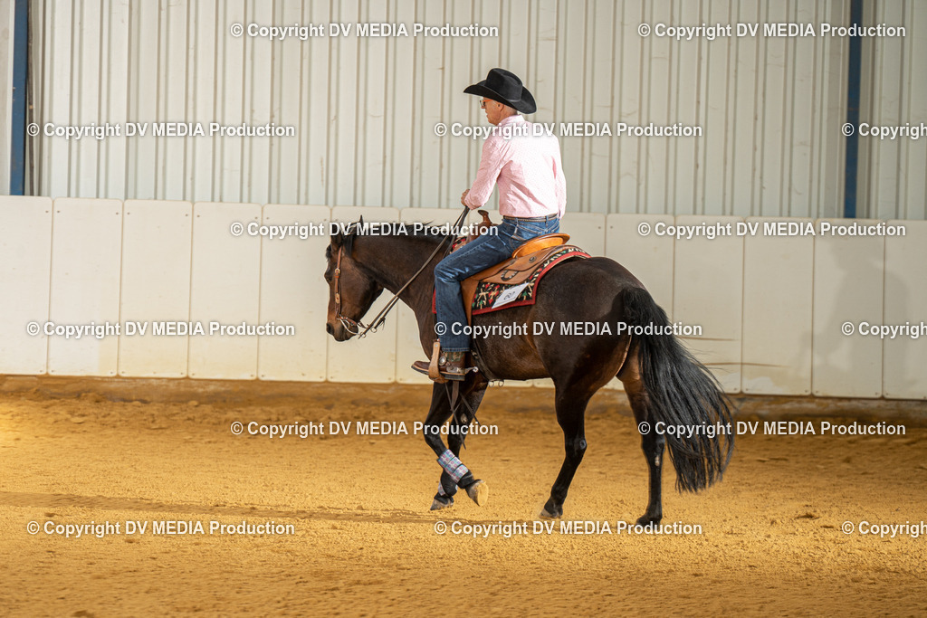 MIT01394 | dv-media-shop - Realisiert mit Pictrs.com