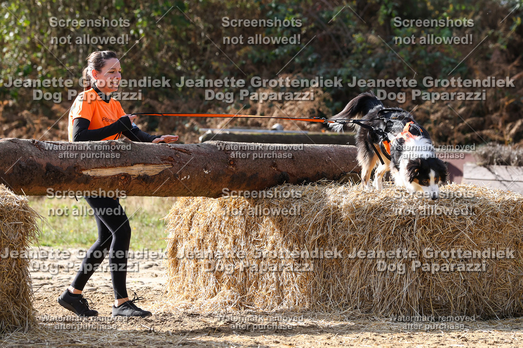 Dog Paparazzi - Strongdog 10-25-5920 | Dog Paparazzi Jeanette Grottendiek Fotografie & Videografie - Realisiert mit Pictrs.com