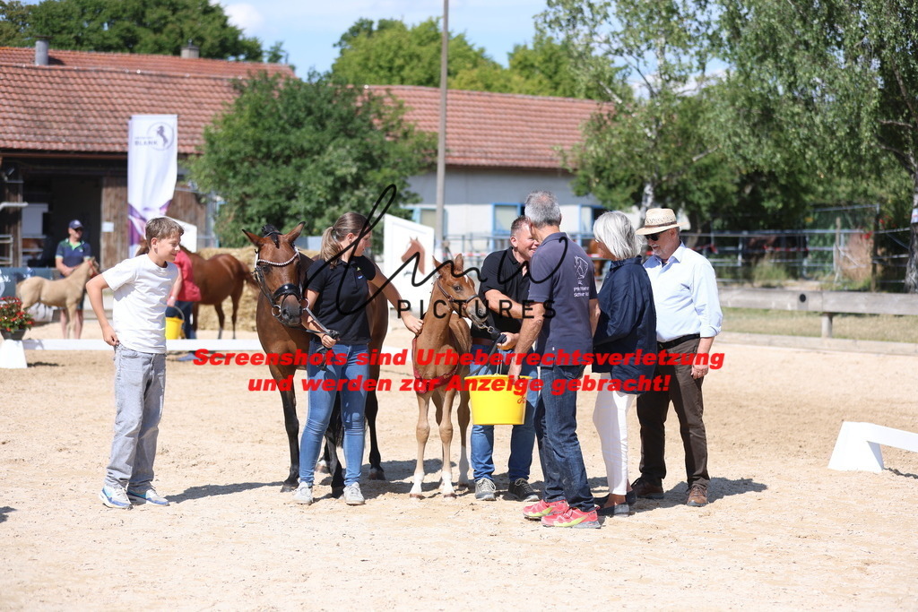 Fohlenschau_Schwäbisch_Hall_Ponys_SIEGERFOHLEN_KN 42_6 | lmwpictures - Realisiert mit Pictrs.com