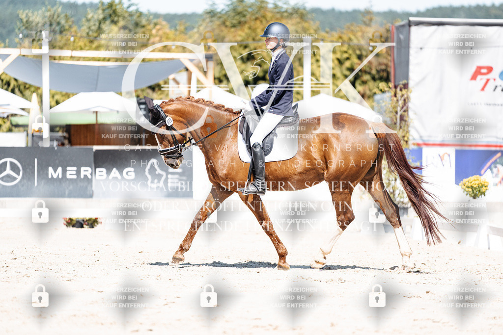 CK909377 | Turnierfotografie Pferdefotografie Trier Rheinland-Pfalz Pferdesport Reitsport Tierfotografie Sportfotografie Pferdevideo Pferdevideografie Equestrianvideography equestrianphotography  - Realisiert mit Pictrs.com