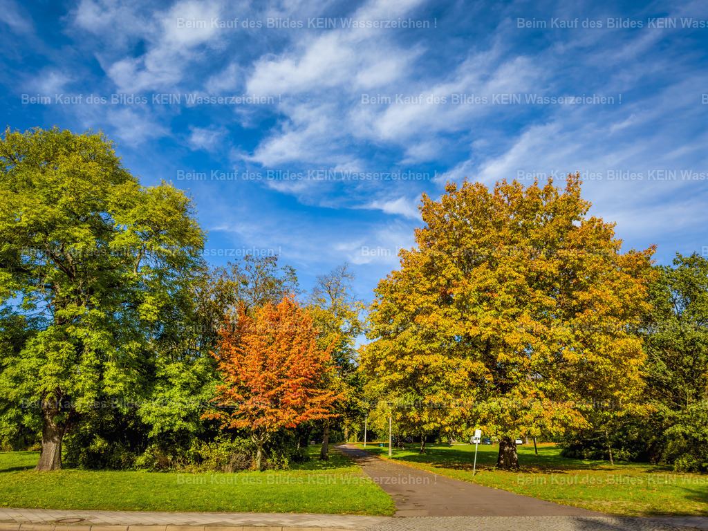 Magdeburg Sehenswürdigkeiten Glacies Park in Stadtfeld-3802 | Glaciesanlage in Magdeburg Stadtfeld im Herbst - Realisiert mit Pictrs.com