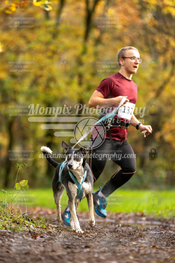 MompixPhotography_Bischwiller23_Canicross-132 | PayLife
