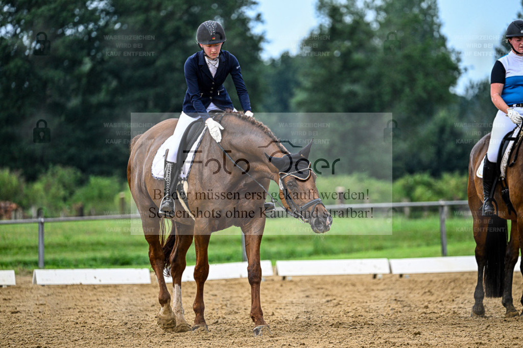 Reitturnier Hasbergen | Entdecke hochwertige Reitturnierfotos von Foto Oger. Professionell, emotional und authentisch – jetzt Lieblingsmomente im Shop bestellen. - Realisiert mit Pictrs.com