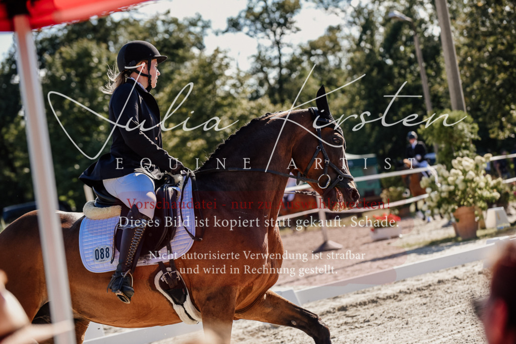 DSC_0318 | Pferde- und Turnierfotografie in Westsachsen. Pferdeportraits, Auftragszeichnungen und intuitive Kunst.