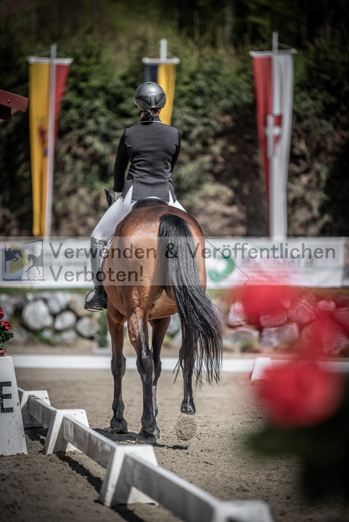 DSC_0558 | equestrian-live-com