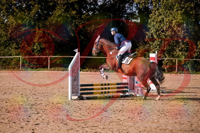 2026_10_03_Siefer-Hof_160614_Z81_87522818 | Professionelle Reitsport-, Turnier- und Eventfotografie von Robert Broda. Galerien mit ausgewählten und bearbeiteten Bildern direkt online ansehen und bestellen.