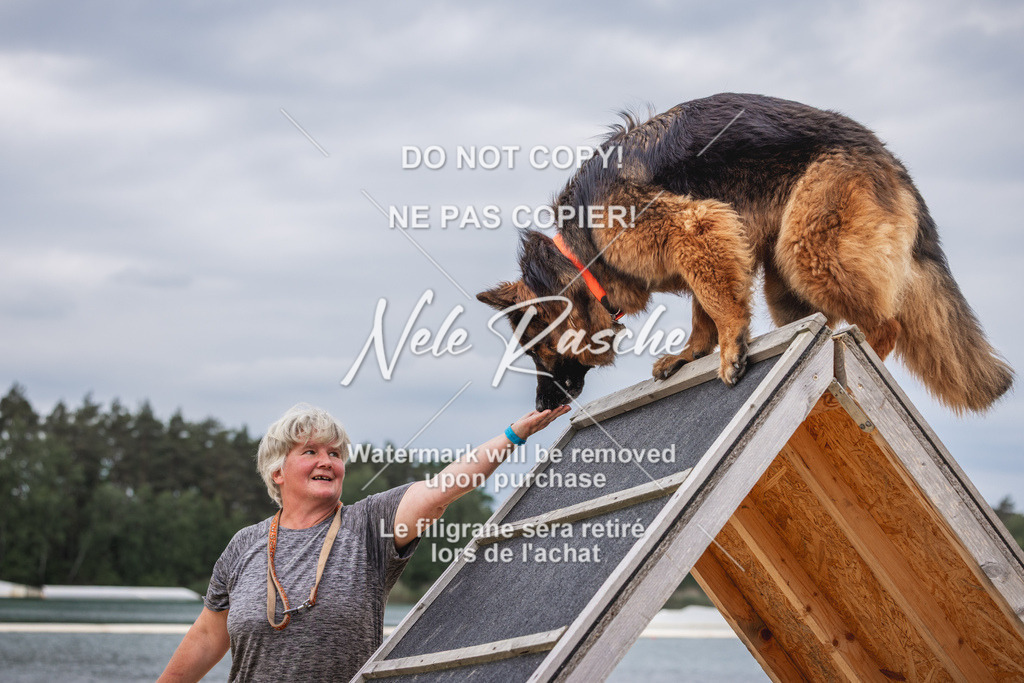 nelerasche_BuHu2026_So1330-1430_186 | nelerasche