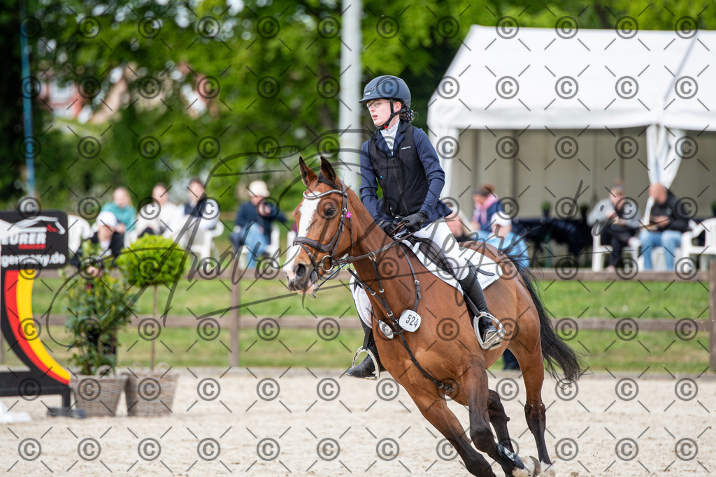 KPT_6498 | andre_photographic