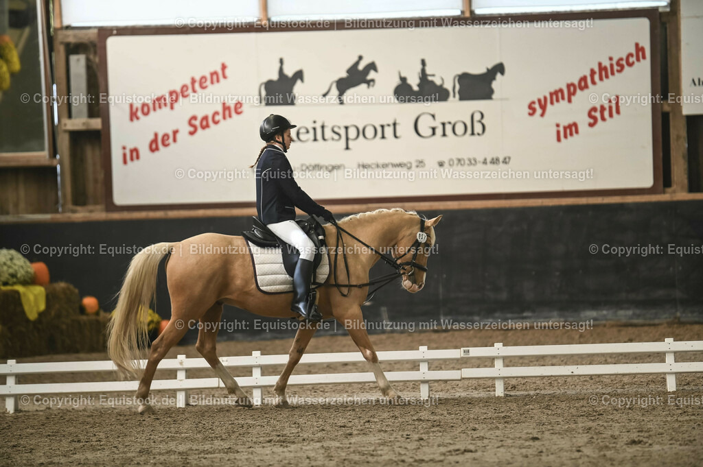 20231029_02_Reiter-WB_Schritt-Trab_Abteilung-01_0061 | Foto: Thomas Hartig