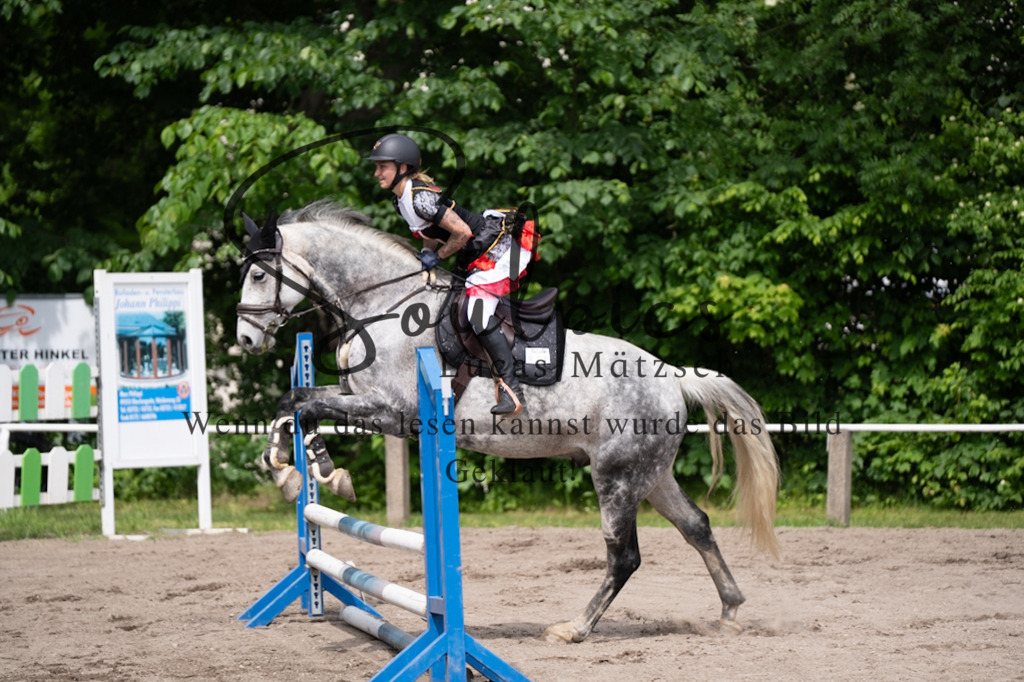 A7V04680 | Pferdefotograf