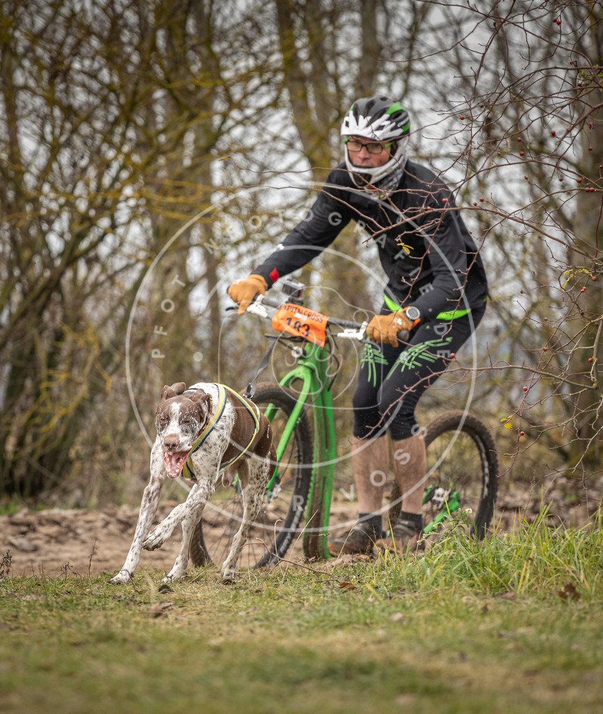 Pfotenfotografie_DV3A9692 | Hundefotografie, Tierfotograf, Pfotenfotografie, Fotoshooting Hund, Hunde Portrait, Hundesport, Hundeportraits, Heideshooting, Hunde, Sportfotograf, Hundefotograf, Turnierhundsport, THS,  - Realisiert mit Pictrs.com