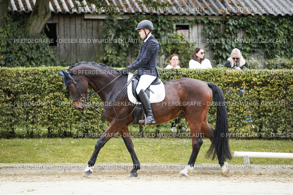 DSC04919 | Pferdegrafie