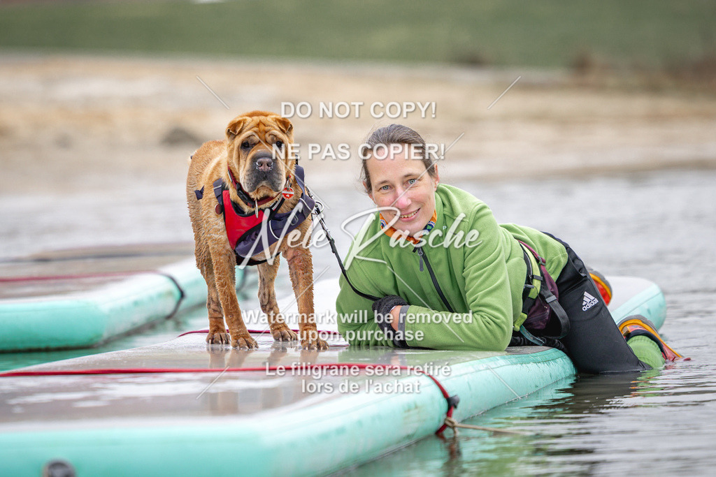 nelerasche_Hulsbeek_Sa1030-1100_729 | nelerasche