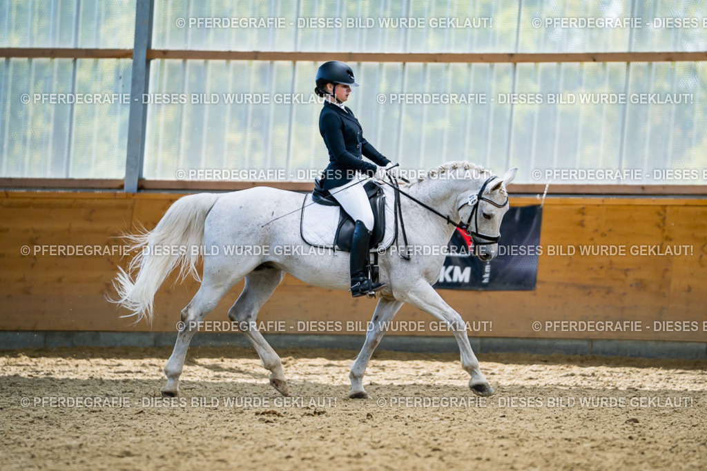 DSC05491 | Pferdegrafie