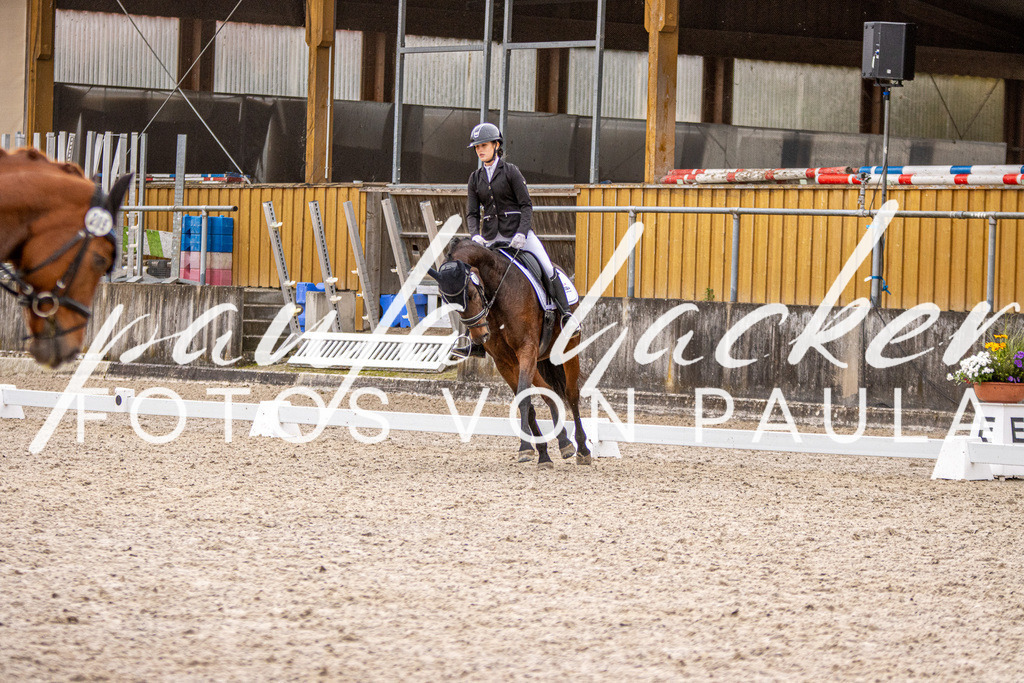 IMG_2953 | Erleben Sie dynamische Sport- und emotionale Tierfotografie in Süddeutschland mit Fotos von Paula. Spezialisiert auf Pferde- und Hundefotografie sowie Sportevents. Kontaktieren Sie mich für einzigartige und ausdrucksstarke Bilder Ihrer besonderen Momente. - Realisiert mit Pictrs.com