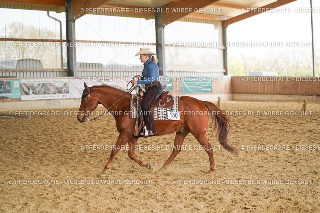 DSC01691 | Pferdegrafie