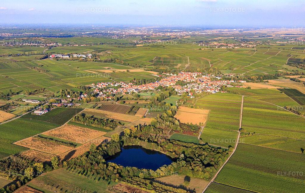 Luftbild: Ortsansicht von Westen in Göcklingen im Bundesland Rheinland-Pfalz in Deutschland. Foto: IMG_123223.jpg vom 30.09.2020 durch Werner Riehm/FLY-FOTO.de