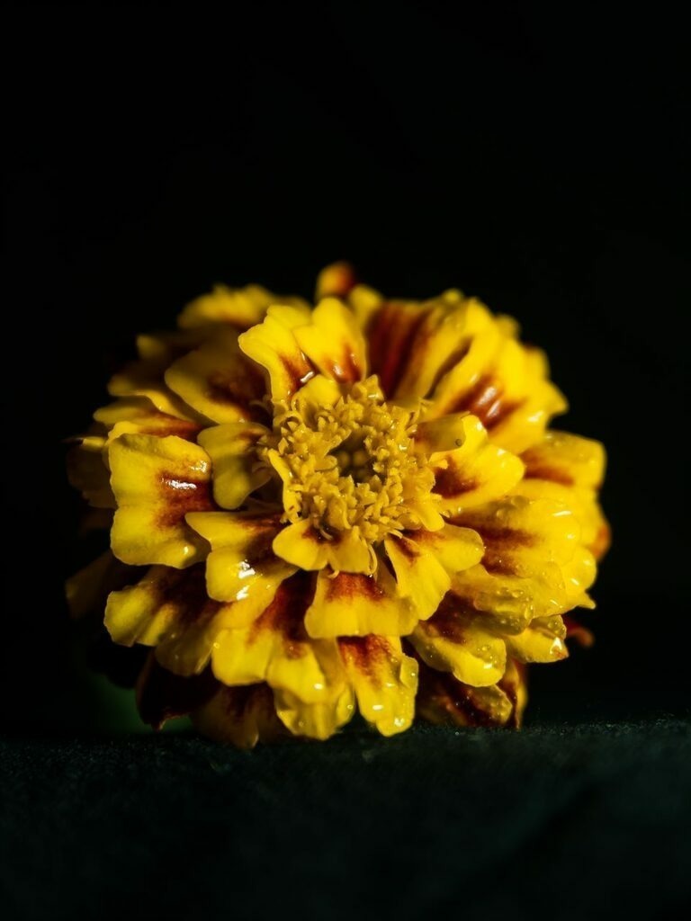 PSX_20221104_163019 | mtkfoto_ - Realisiert mit Pictrs.com