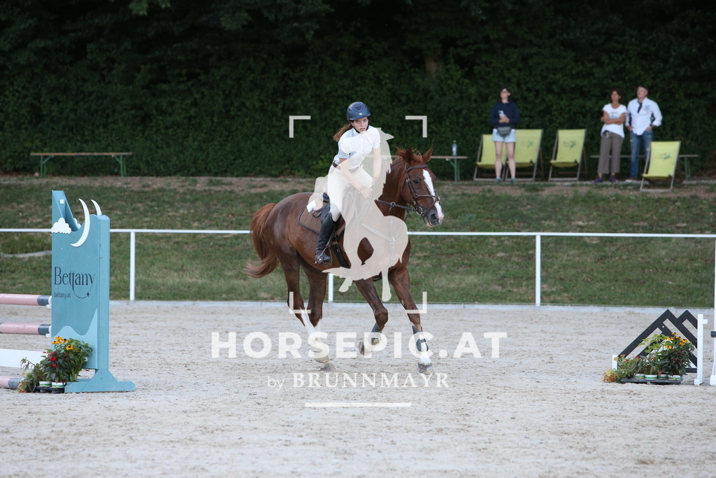 PP015546 | Willkommen bei Brunnmayr - Design & Fotografie – Ihrem Spezialisten für Reitturniere und Pferdeveranstaltungen in Oberösterreich, Salzburg und Bayern! Seit über 17 Jahren sind wir leidenschaftlich dabei.