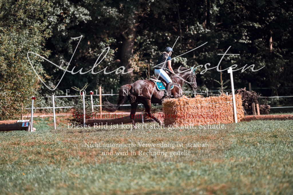 DSC_0905 | Pferde- und Turnierfotografie in Westsachsen. Pferdeportraits, Auftragszeichnungen und intuitive Kunst.