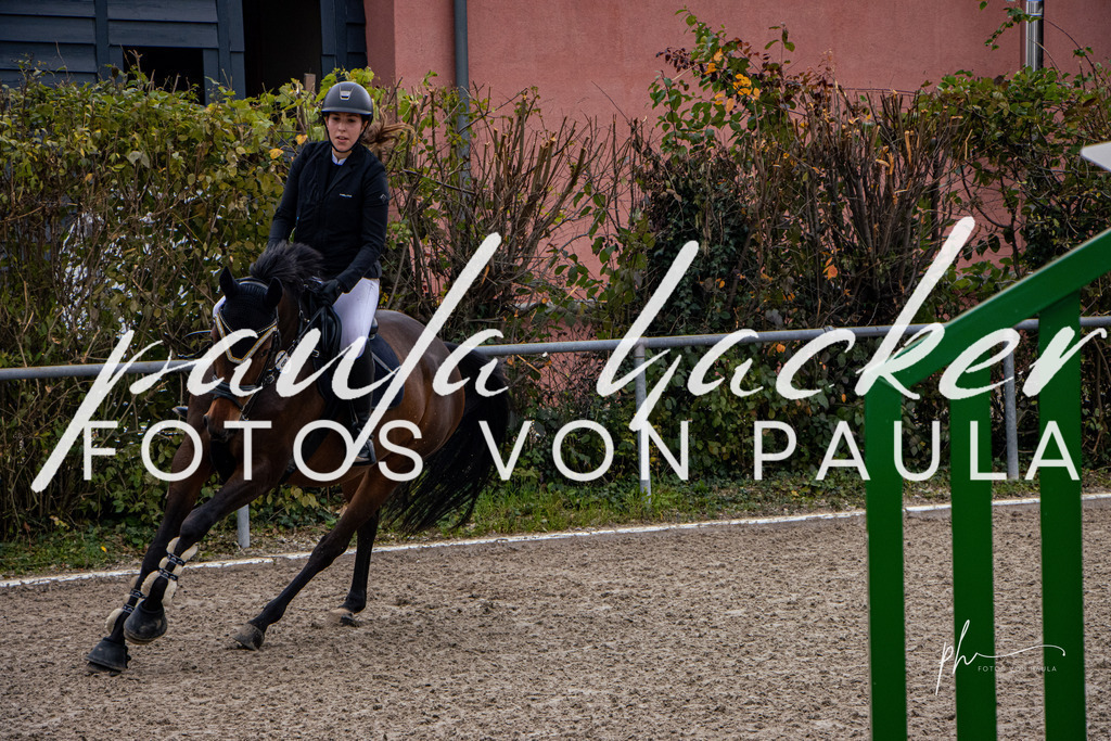 IMG_3607 | Erleben Sie dynamische Sport- und emotionale Tierfotografie in Süddeutschland mit Fotos von Paula. Spezialisiert auf Pferde- und Hundefotografie sowie Sportevents. Kontaktieren Sie mich für einzigartige und ausdrucksstarke Bilder Ihrer besonderen Momente. - Realisiert mit Pictrs.com