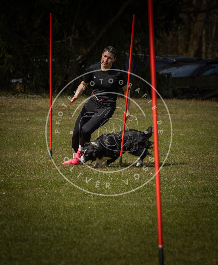 Pfotenfotografie_DV3A4938 | Hundefotografie, Tierfotograf, Pfotenfotografie, Fotoshooting Hund, Hunde Portrait, Hundesport, Hundeportraits, Heideshooting, Hunde, Sportfotograf, Hundefotograf, Turnierhundsport, THS,  - Realisiert mit Pictrs.com