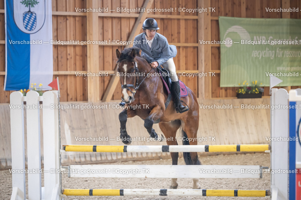 _D5A9203 | Emotionale Pferde- & People-Fotografie rund um Heidelberg, Leimen & Umgebung. Natürliche Fotos von Pferd, Mensch & Familie. Jetzt Termin sichern!