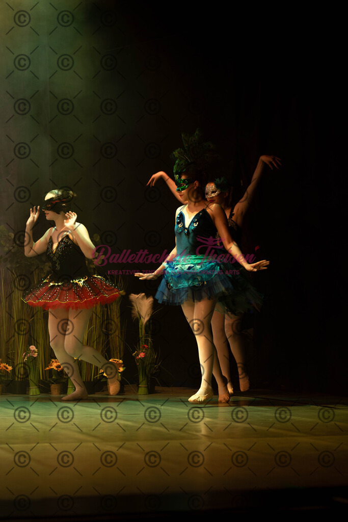 Ballettaufführung-1191 | Bildershop Lem'n Entertainment - Realisiert mit Pictrs.com