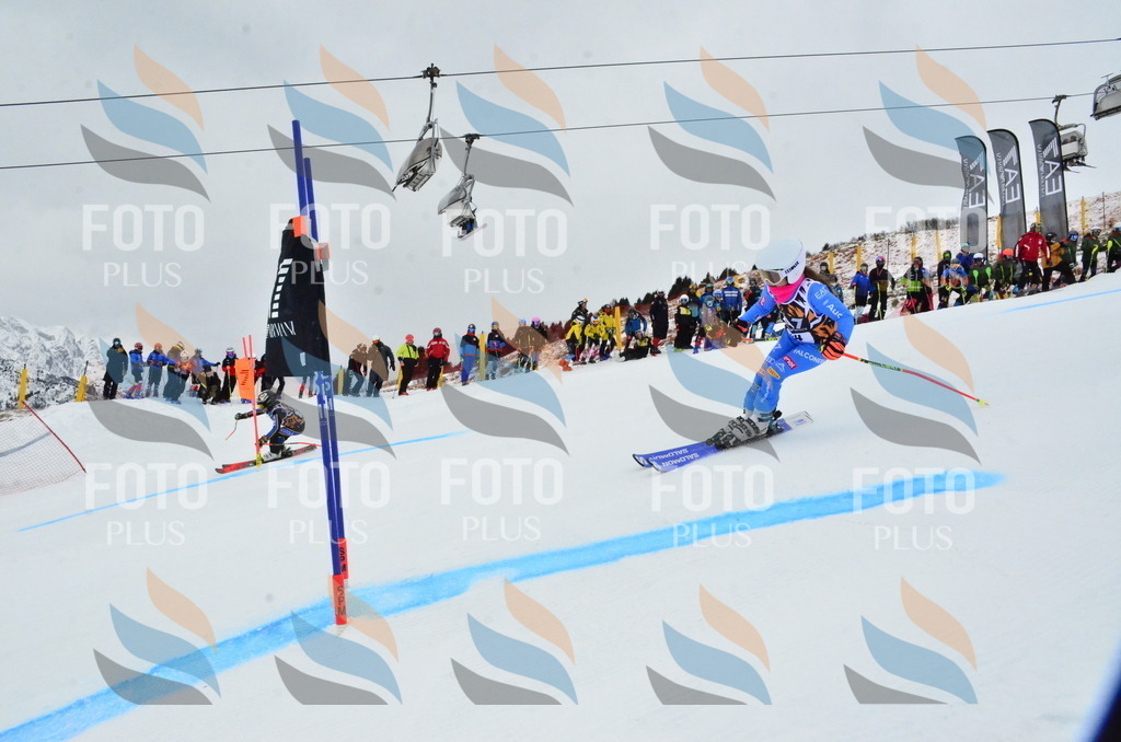 _ELE3299 | holidayphoto