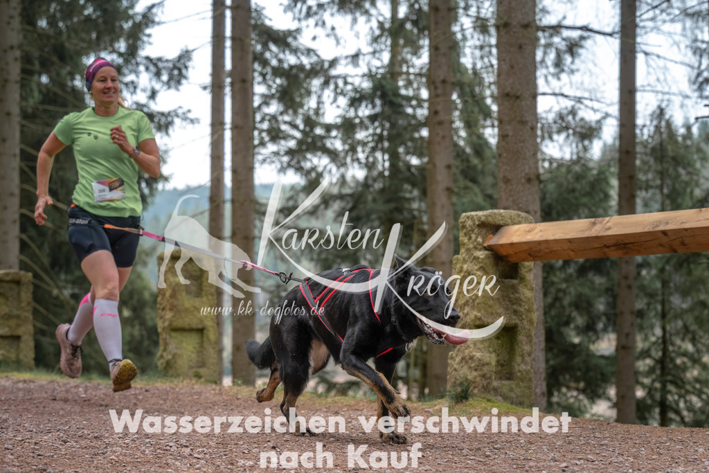 0802DZ6_2769 | kk-dogfotos