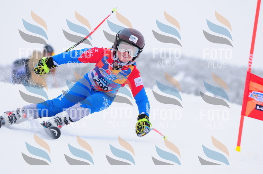 C3124 | holidayphoto